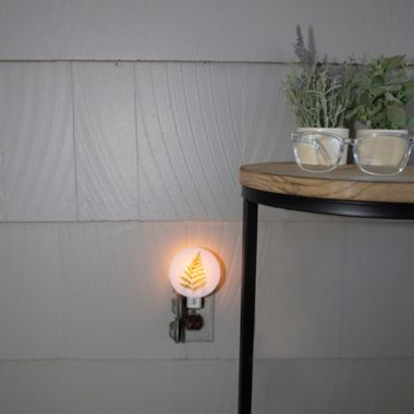 Kikkerland Fern Night Light. View a larger version of this product image.