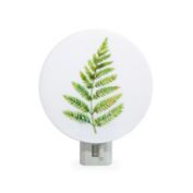 Kikkerland Fern Night Light
