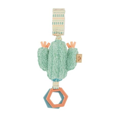 itzy ritzy cactus