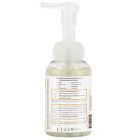 Alternate image 1 for Babo Botanicals&reg; 8 oz. Sensitive Baby Foam Hand Soap