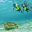 Alternate image 0 for ATV Ride, Zip Lining and Snorkeling Day by Spur Experiences&reg; (Cancun, Mexico)