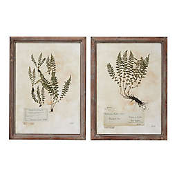 Vintage Botanical Prints 20.5-Inch x 27.5-Inch in Natural Wood Frames