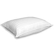 IQ Sleep Smart&reg; 2-Pack Bed Pillow
