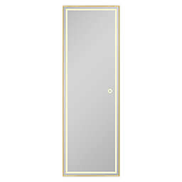 Neutype 64-Inch x 21-Inch LED Full Length Rectangular Wall Mirror in Gold