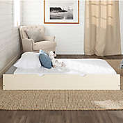 Forest Gate&trade; Solid Wood Twin Trundle Bed in White