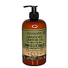 Alternate image 0 for Urban Hydration 16.9 oz. Jamaican Castor Oil Shampoo and Detangler