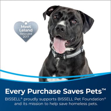 BISSELL&reg; MultiClean&trade; Allergen Lift-Off Pet Pro Vacuum in Black/Teal. View a larger version of this product image.