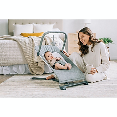 Baby Delight&reg; Go with Me Alpine Deluxe Portable Baby Bouncer in Charcoal. View a larger version of this product image.