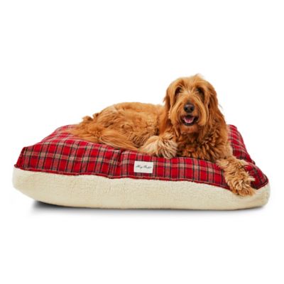 Puppy Bones Williamstown Home Red and White Dogs Sherpa Fleece Backed Throw Blanket 
