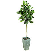 Fiddle Leaf 60-Inch Fig Tree in Deco Pot