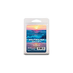 AmbiEscents™ Saltwater Coast 6-Pack Scented Wax Cubes in Blue