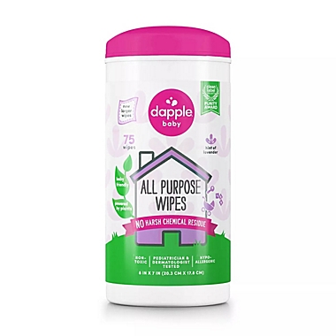 Dapple&reg; 75-Count Fragrance-Free All Purpose Wipes. View a larger version of this product image.