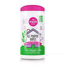Dapple® 75-Count Fragrance-Free All Purpose Wipes