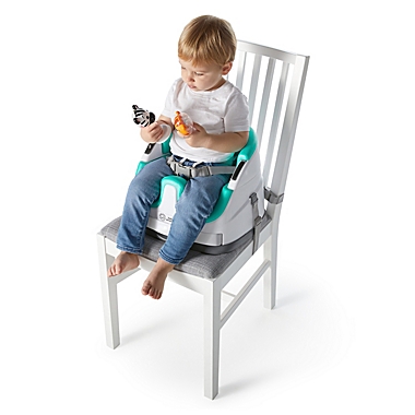 Baby Einstein&trade; Dine &amp; Discover Multi-Use Booster Seat. View a larger version of this product image.