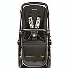 Alternate image 3 for Peg Perego Ypsi Stroller in Graphic Gold