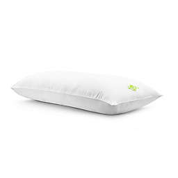 4-Earth™ Body Pillow