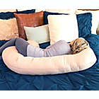 Alternate image 3 for Leachco&reg; Snoogle&reg; Organic Cotton Total Body Pillow in Natural/Ivory