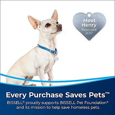 BISSELL&reg; Pet Stain Eraser PowerBrush Deluxe in Silver/Black. View a larger version of this product image.