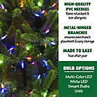 Alternate image 6 for Fraser Hill Farm 6.5-Foot Carmel Pine Pre-Lit Artificial Christmas Tree in Green