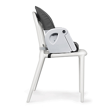 Chicco&reg; Polly Progress&reg; Relax 5-in-1 Highchair in Springhill. View a larger version of this product image.