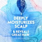 Alternate image 4 for Head &amp; Shoulders&reg; Supreme Color Protect Scalp and Hair Conditioner