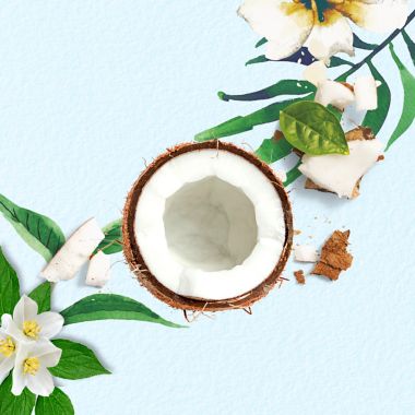 Herbal Essences 13.5 oz. Coconut Water and Jasmine Conditioner. View a larger version of this product image.