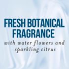 Alternate image 5 for Pantene&reg; Hydrating Glow Sulfate Free Conditioner