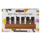 Alternate image 0 for SpaRoom&reg; 6-Pack 5 mL Essential Oil Set with Holder