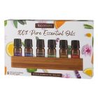 Alternate image 1 for SpaRoom&reg; 6-Pack 5 mL Essential Oil Set with Holder