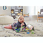 Alternate image 1 for VTech&reg; 3-in-1 Roll-a-Pillar&trade; Tummy Time Toy