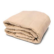Hotel Collection Queen Throw Blanket in Taupe
