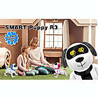 Alternate image 7 for Contixo R3 RC Remote Control Robot Dog Toy