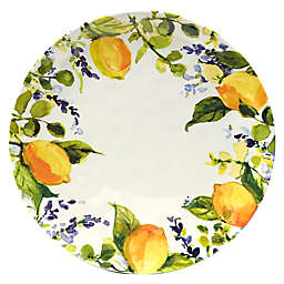 Certified International™ Lemon Zest Melamine Dinner Plates (Set of 6)