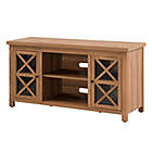 Alternate image 7 for Hudson&amp;Canal&trade; Colton TV Stand