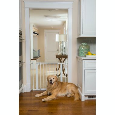 Safety 1st&reg; Easy Install Auto-Close Walk-Thru Gate in White. View a larger version of this product image.