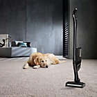 Alternate image 13 for Miele&reg; Triflex HX1 Cat &amp; Dog Cordless Stick Vacuum in Black
