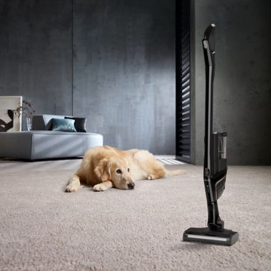 Miele&reg; Triflex HX1 Cat &amp; Dog Cordless Stick Vacuum in Black. View a larger version of this product image.