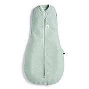 ergoPouch&reg; Size 3-6M Cocoon Organic Cotton Wearable Blanket in Sage