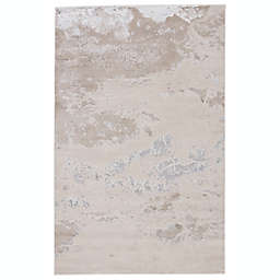 Jaipur Living Cisco Abstract Rug in Light Grey/Silver