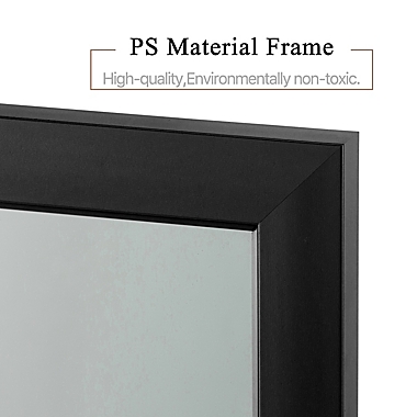 NeuType 51-Inch x 16-Inch Full-Length Hanging Door Mirror in Black. View a larger version of this product image.