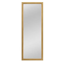 NeuType 51-Inch x 16-Inch Full-Length Hanging Door Mirror