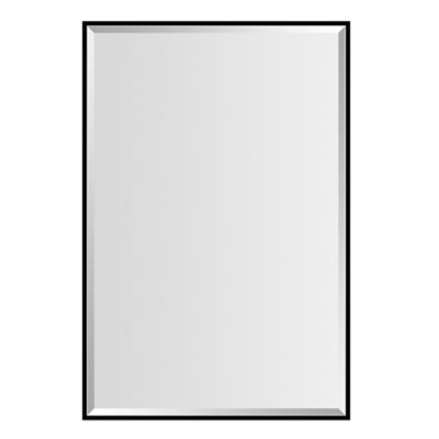 Neutype Rectangular Vanity Mirror In, Bathroom Mirror Thin Black Frame