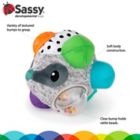 Alternate image 2 for Sassy Developmental Bumpy Badger