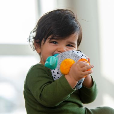 Sassy Developmental Bumpy Badger. View a larger version of this product image.