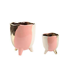 Flora Bunda® 3-Tone Ceramic Footed Pots in Blush (Set of 2)