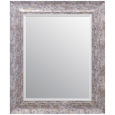 Beveled Scoop Framed 21.4-Inch x 25.4-Inch Wall Mirror in Distressed Silver. View a larger version of this product image.