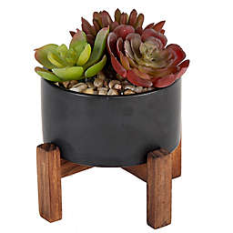 Flora Bunda 4.8-Inch Artificial Succulent Arrangement with Black Ceramic Pot and Wood Stand
