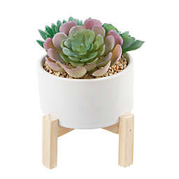 Flora Bunda 4.8-Inch Artificial Succulent Arrangement with White Ceramic Pot and Wood Stand