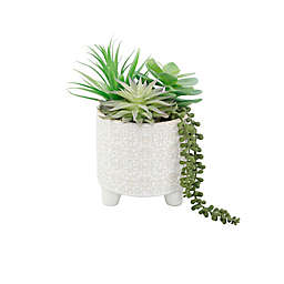 Flora Bunda 8-Inch Artificial Mixed Succulent Arrangement with Ivory White Ceramic Pot
