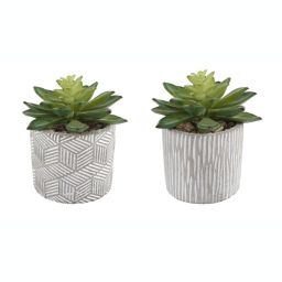 Flora Bunda Artificial Succulent Arrangement in Patterned Cement Pot (Set of 2)